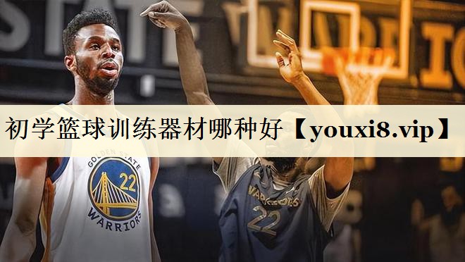 初学篮球训练器材哪种好