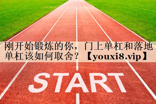 刚开始锻炼的你,门上单杠和落地单杠该如何取舍?