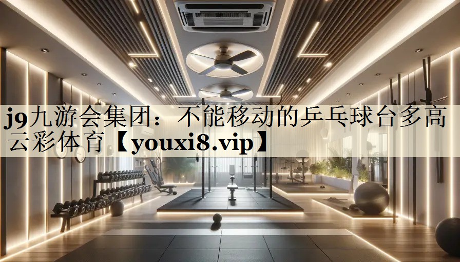 j9九游会集团:不能移动的乒乓球台多高云彩体育