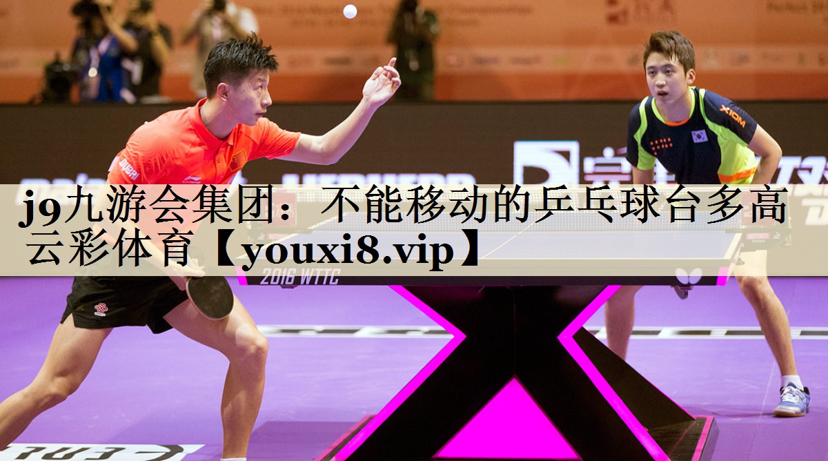 j9九游会集团:不能移动的乒乓球台多高云彩体育