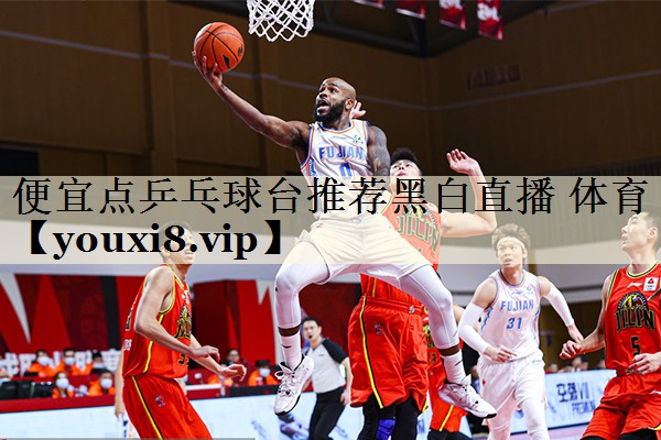 便宜点乒乓球台推荐黑白直播 体育