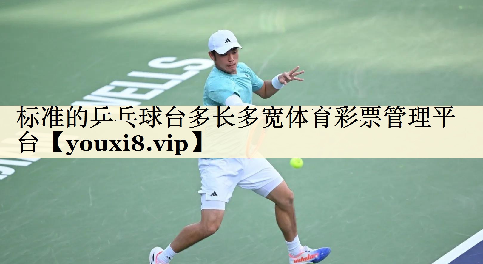 标准的乒乓球台多长多宽体育彩票管理平台