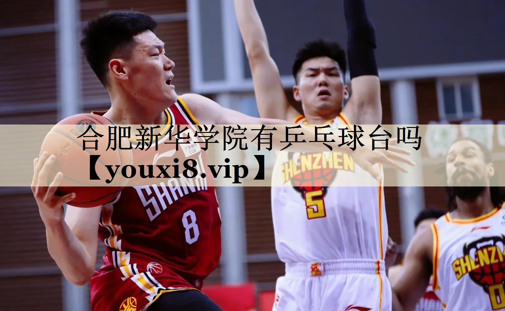 合肥新华学院有乒乓球台吗