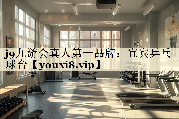 宜宾乒乓球台